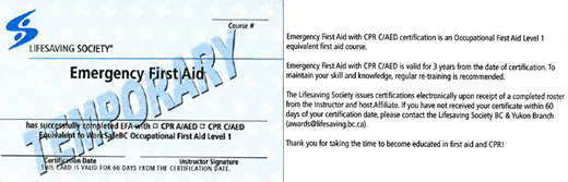LSS-emergency-first-aid-png-en
